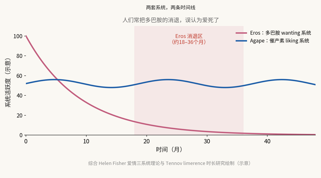 Eros(多巴胺系统)约在 18–36 个月随新异感消退;Agape(催产素系统)靠当下同在维持 —— 示意图