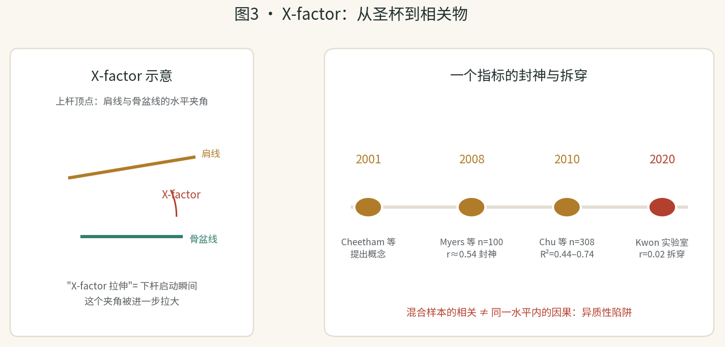 图3 · X-factor:从圣杯到相关物