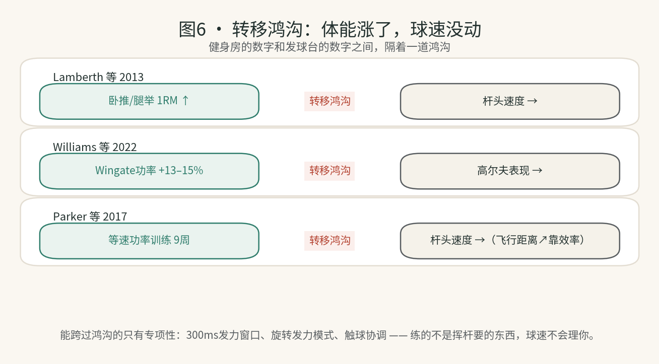 图6 · 转移鸿沟:体能涨了,球速没动
